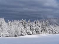 Dramatischer Himmel über verschneitem Bergwald im Sonnenlicht
